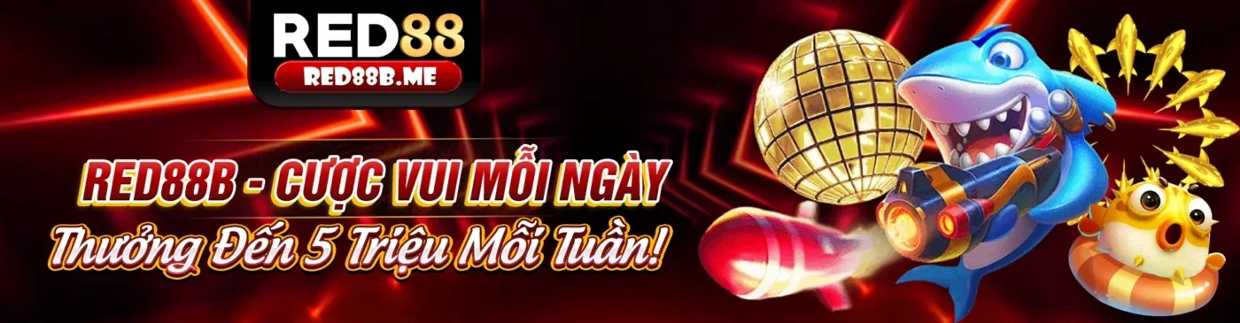 Chiến thuật chơi Live Casino tại Ricwin