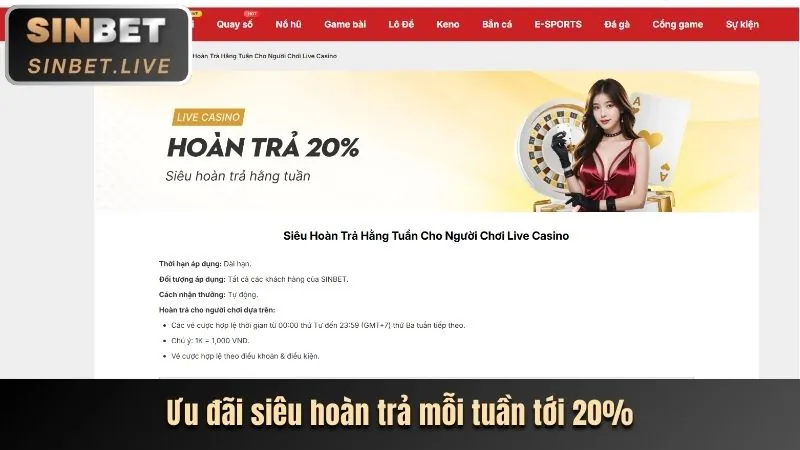Hoàn trả hàng ngày Ricwin